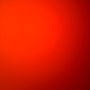 Meet your Posher, Tanner