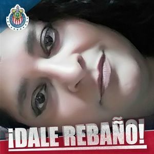 Meet your Posher, Karlin