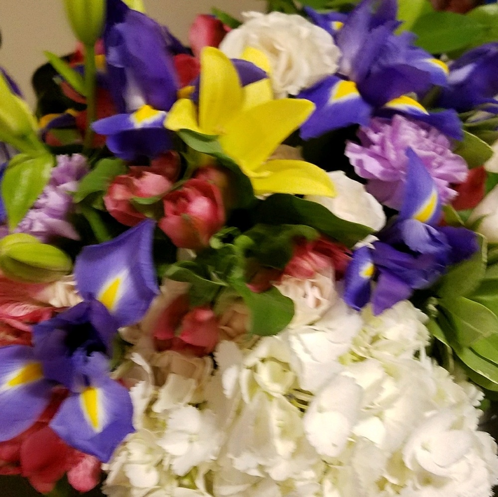 Meet your Posher, Steph