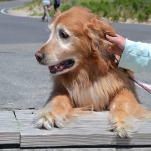 Meet your Posher, Jeanne