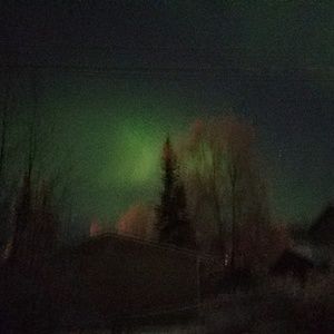 Meet your Posher, Brandy