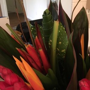 Meet your Posher, Kim