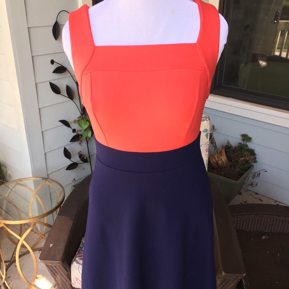 Pepperberry by Bravissimo color block dress