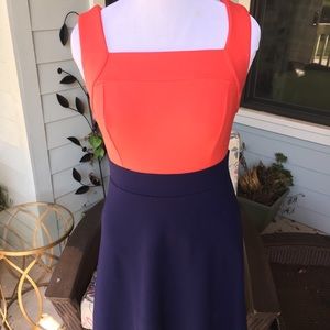 Pepperberry by Bravissimo color block dress
