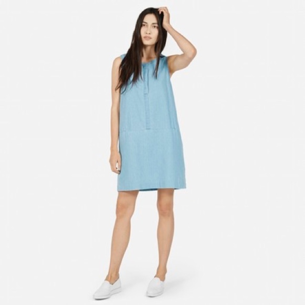 Sold out denim dress everlane