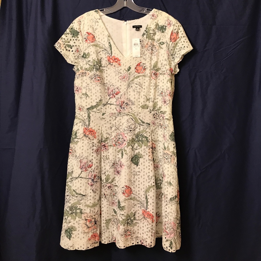 Ann Taylor Floral Eyelet dress