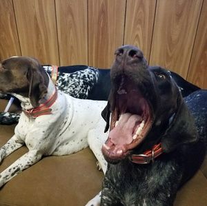 Meet your Posher, Traci