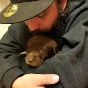 Meet your Posher, Spencer