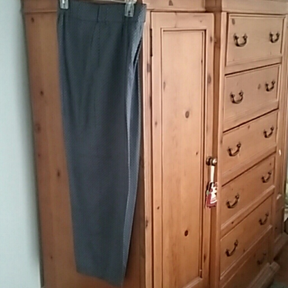 ANN TAYLOR  SILK PANTS