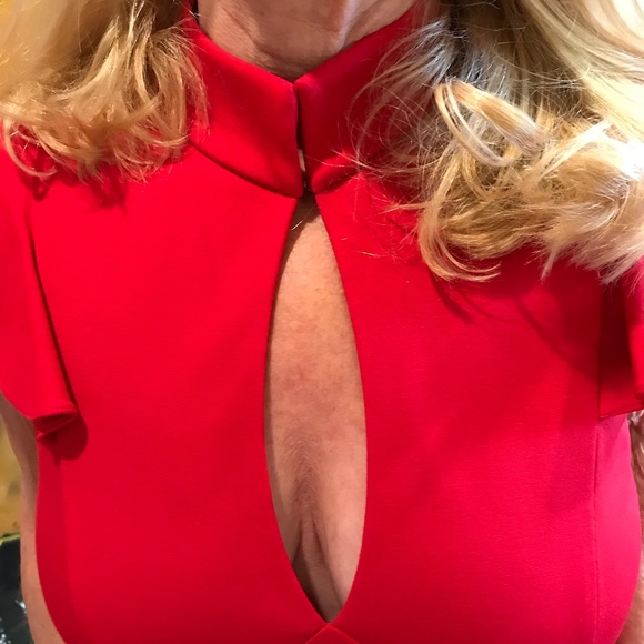 Bebe Dress - Picture 4 of 5