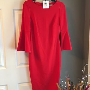 Bell sleeve Pencil Dress