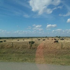 Meet your Posher, Prerna