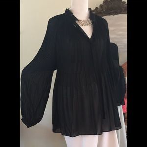Beautiful, Like new Lauren, sheer pleated top