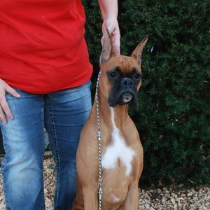 Meet your Posher, Connie