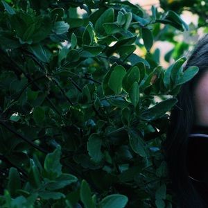 Meet your Posher, Kira