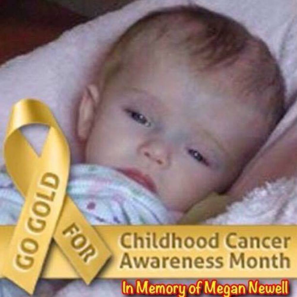 Meet your Posher, Rose