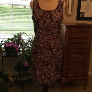 NWT Sag Habor Dress Size 6