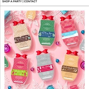 Meet your Posher, Whitney