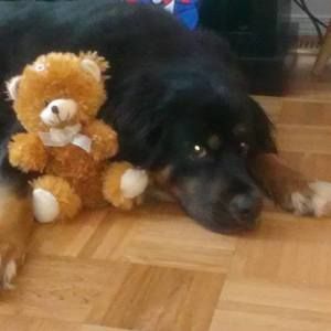 Meet your Posher, Claudia