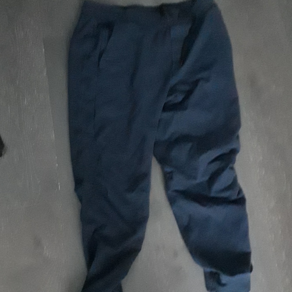 Lululemon blue sweat pants