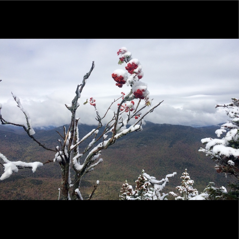 Meet your Posher, Annika