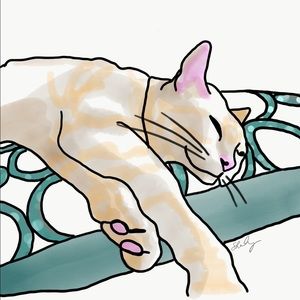 Meet your Posher, Shaley