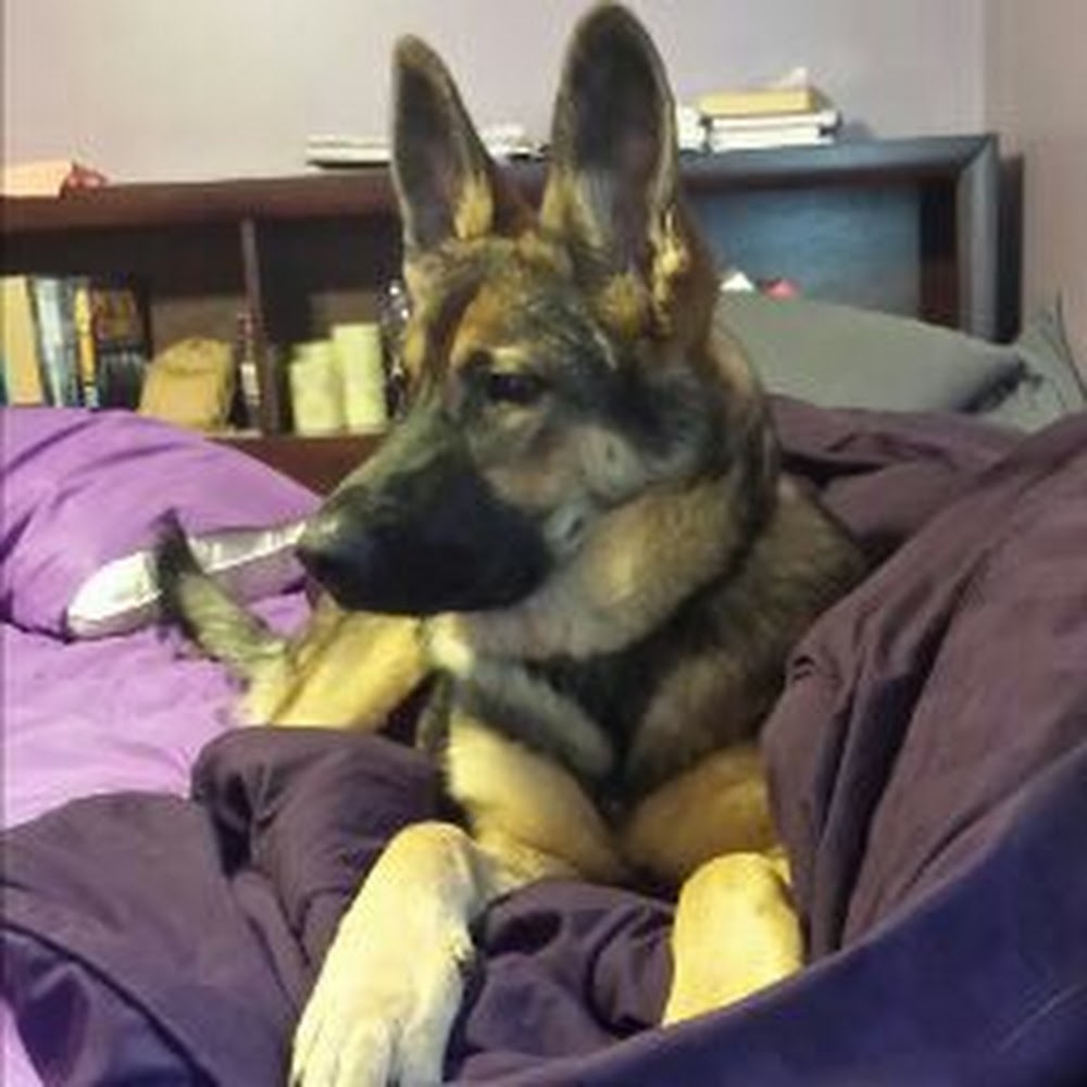 Meet your Posher, Jocelyn