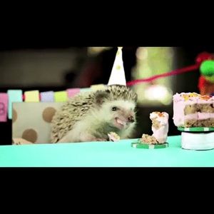 Meet your Posher, Barb