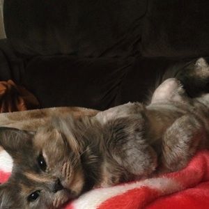 Meet your Posher, Maria