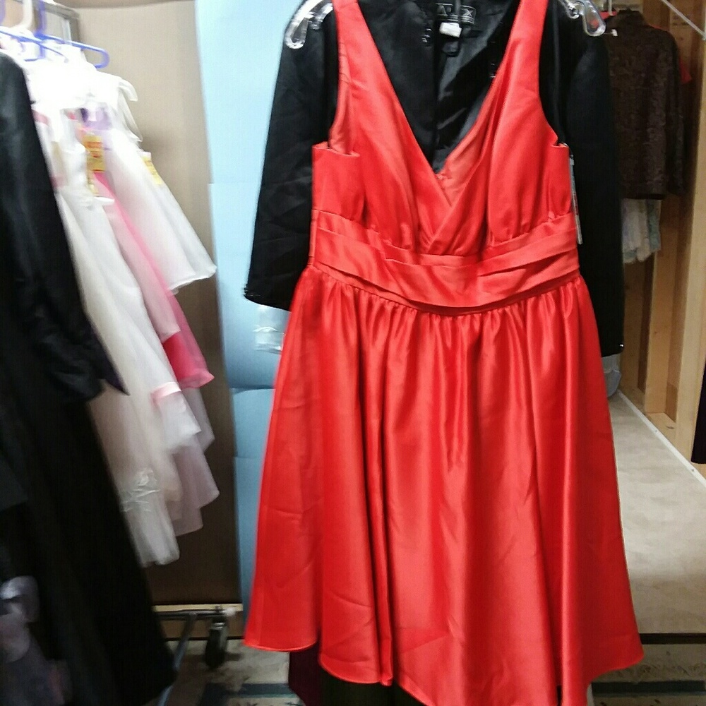 TERRACOTTA color Eden Maids