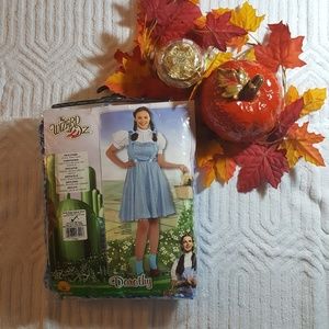 Costume (Adult) - Wizard of Oz - Dorothy