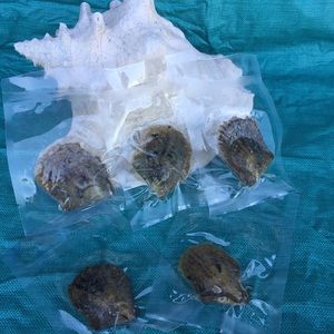 Reserved Bundle for @Kellywonderdog