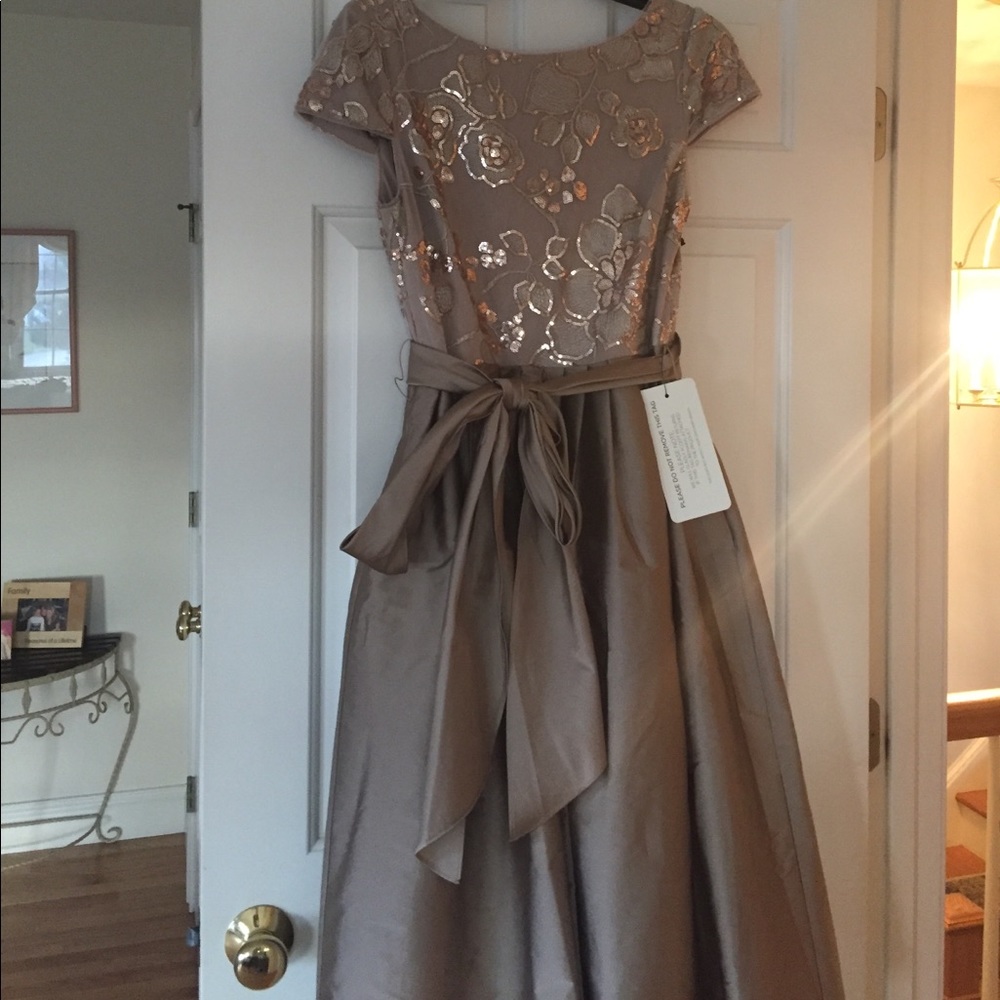 Adrianna Papell dress never been worn. Size 6.
