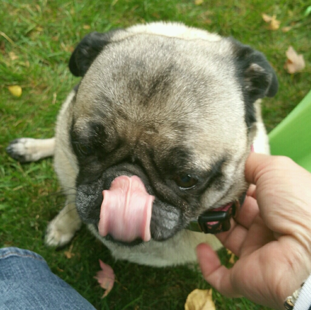 Meet your Posher, Jl