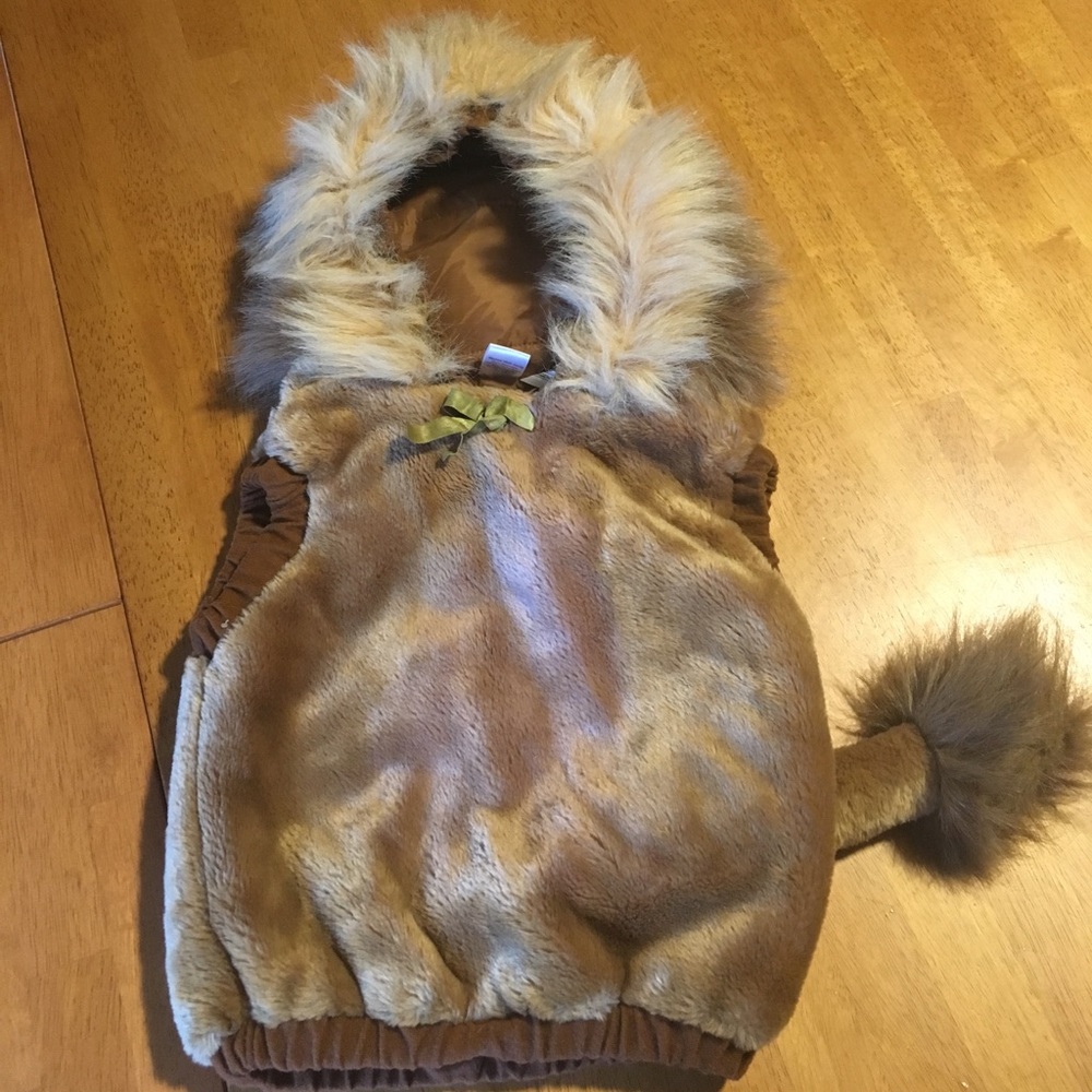 Lion Costume