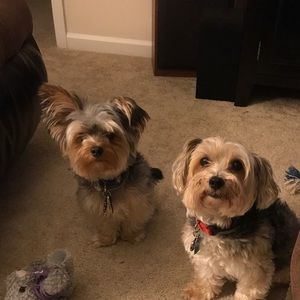 Meet your Posher, Leanne