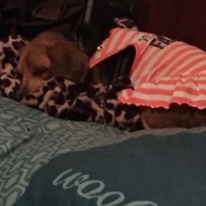 Meet your Posher, Cindy