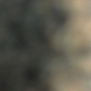 Meet your Posher, Dalton