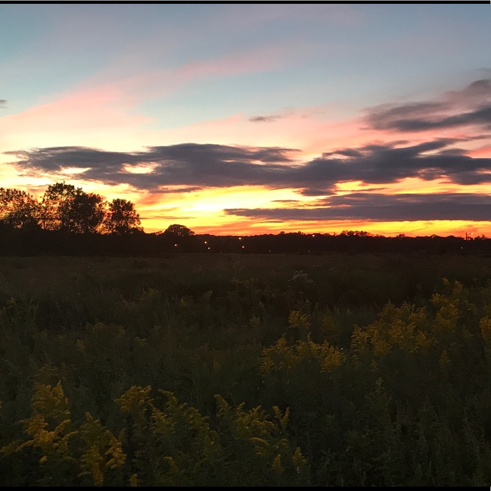 Meet your Posher, Gina