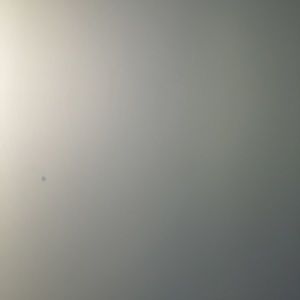 Meet your Posher, Everett