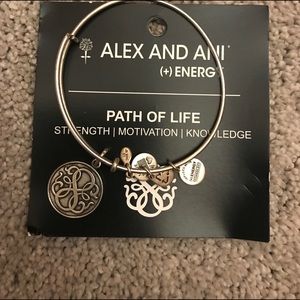 ALEX AND ANI PATH OF LIFE