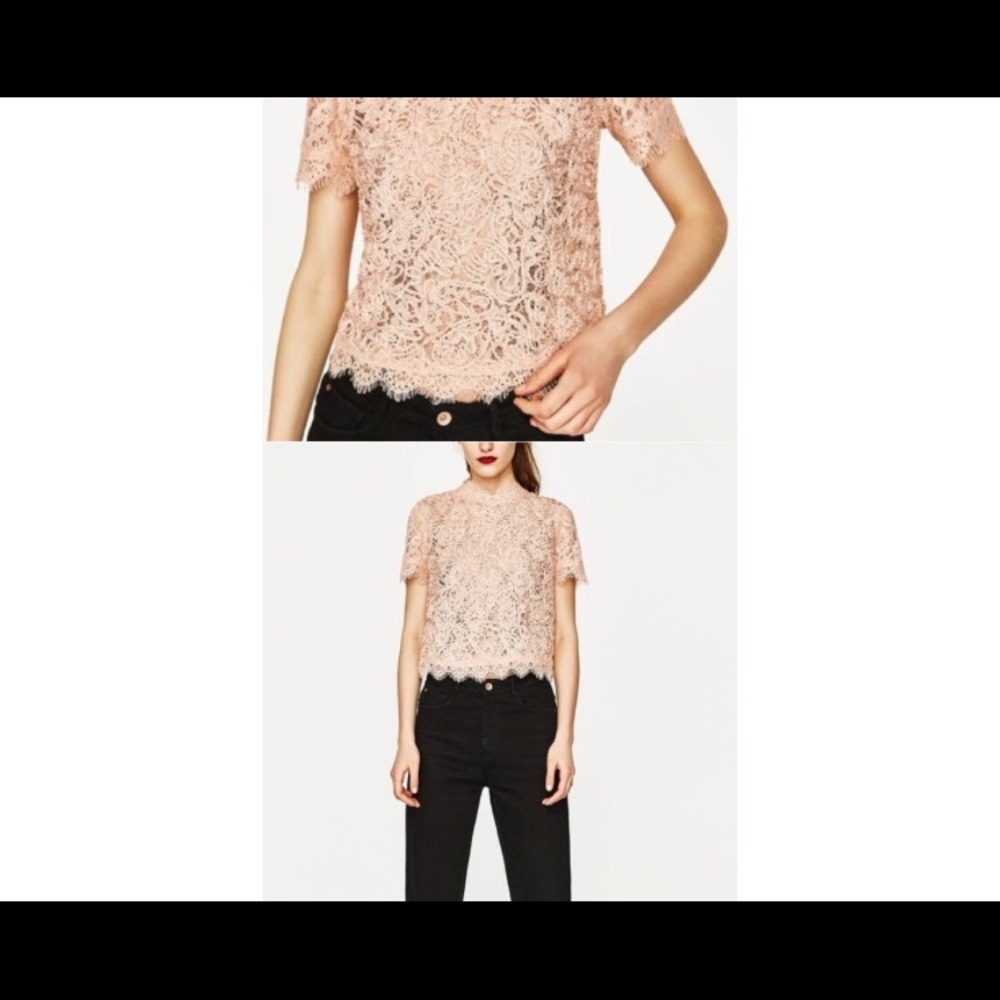 Pink Sheet Lace top