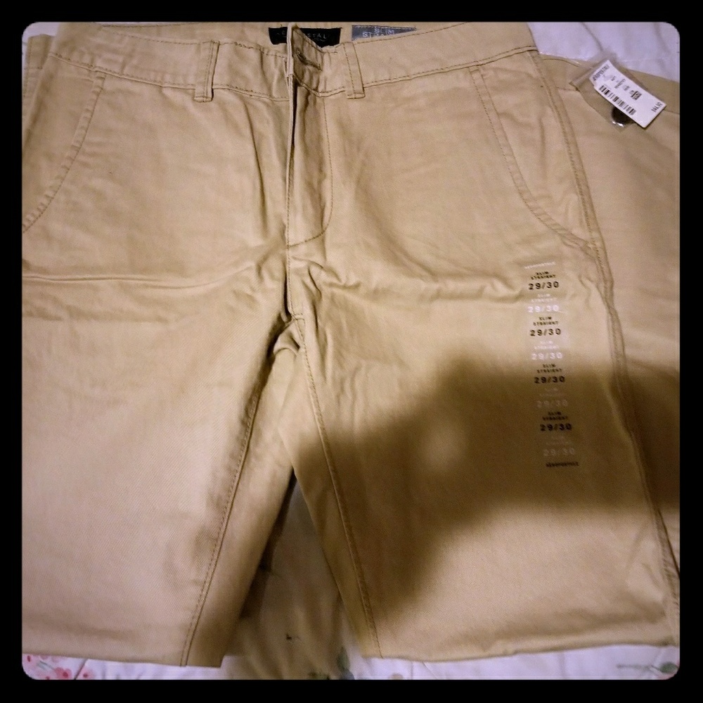 Pant
