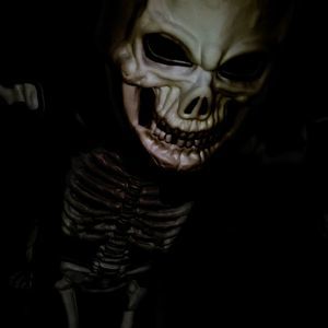 Meet your Posher, Dakota