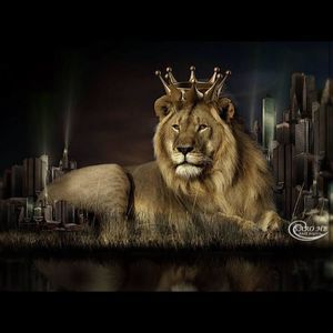 Meet your Posher, Acquella