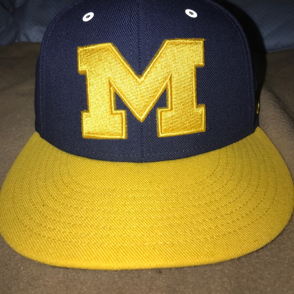 Nike Michigan Strapback