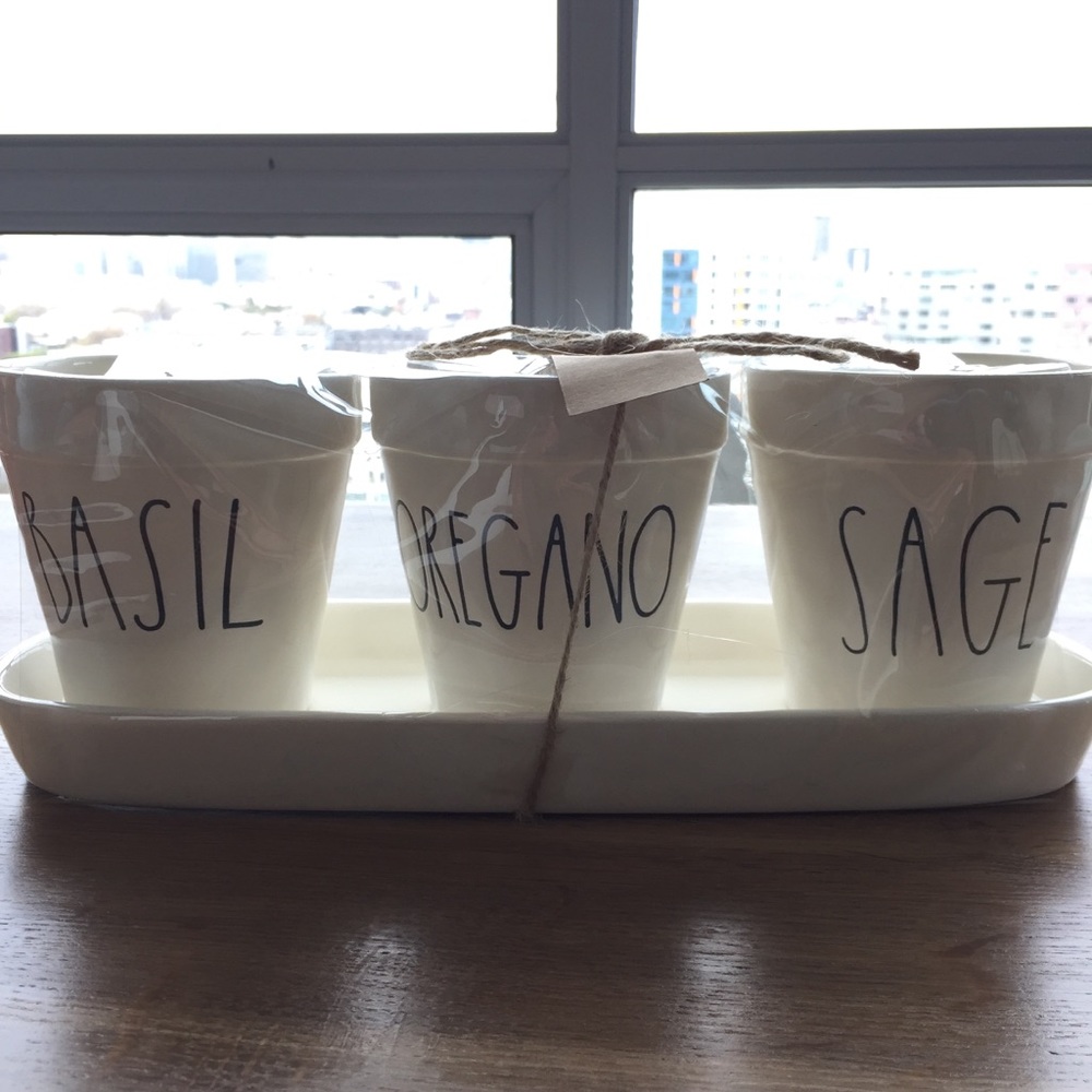 Rae Dun Basil, Oregano, Safe set of 3 planters