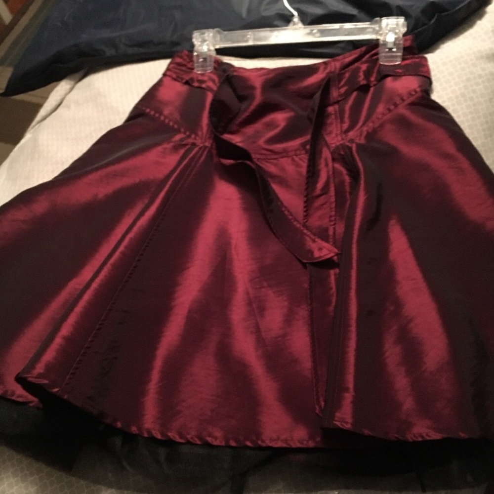 Dressy holiday skirt EUC