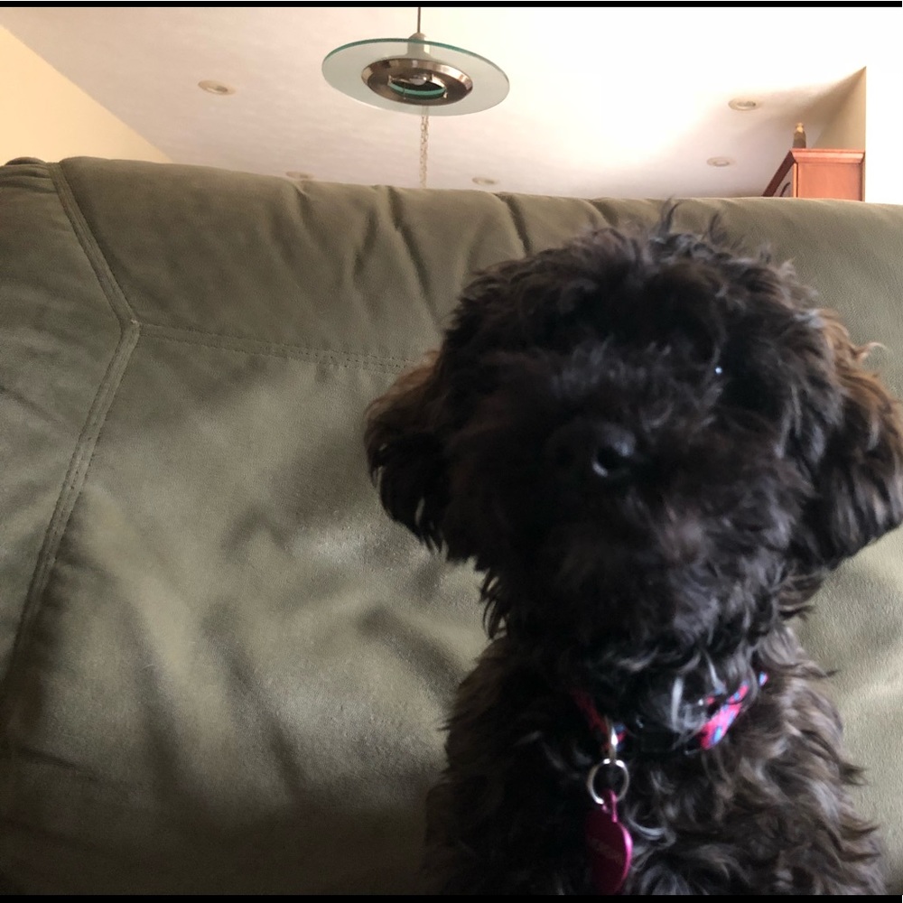 Meet your Posher, Deidra