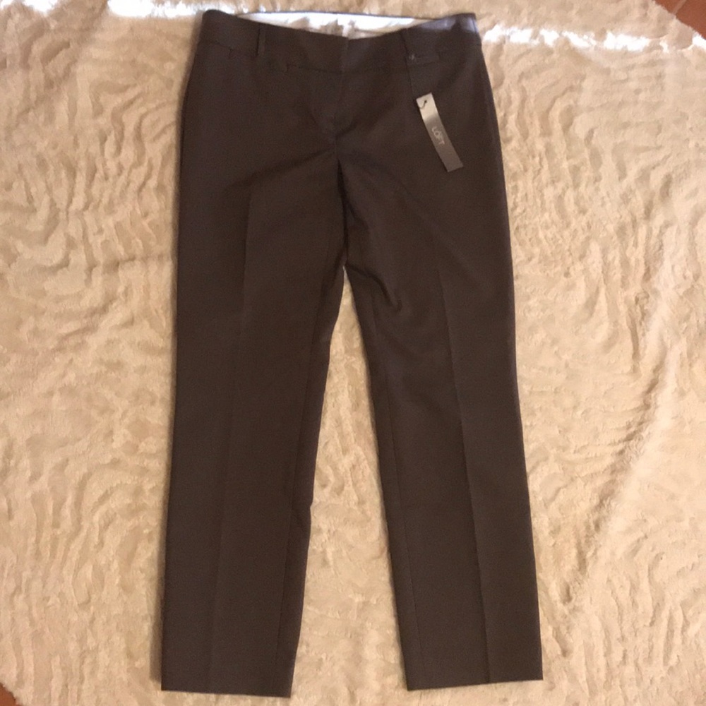 NWT LOFT pants
